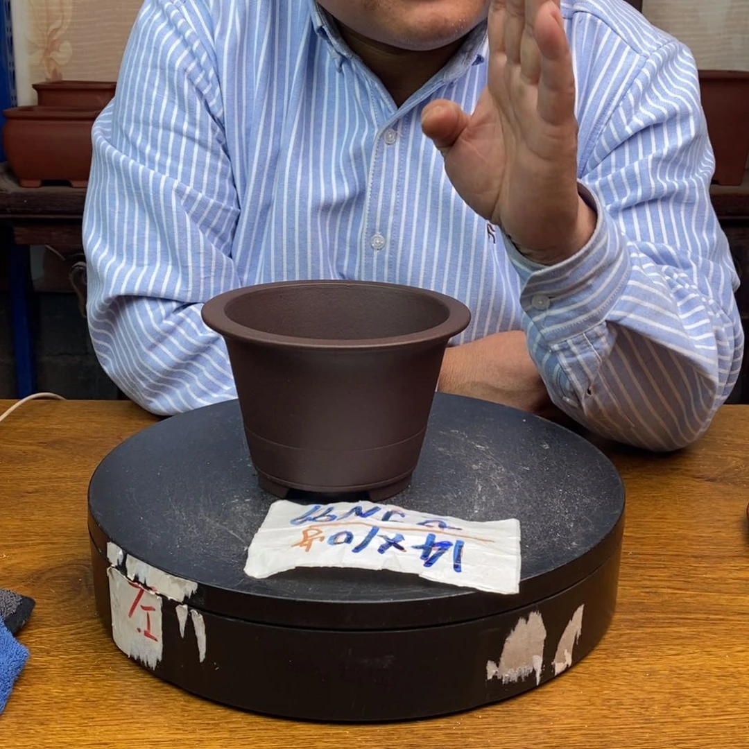 红陶货号一只JN99