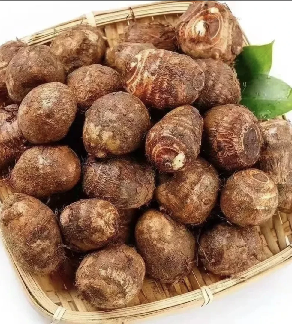 云南新鲜牛奶小芋头毛芋头软糯丝滑香甜细腻当季蔬菜