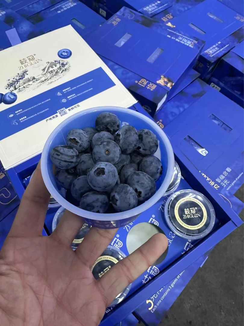 【老牛专属】云南枝冠蓝莓杯1件9杯 15/18mm 每杯100g快递包邮