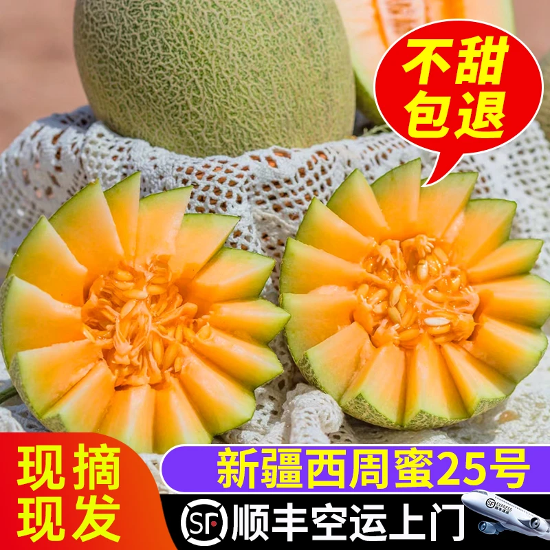 正宗新疆吐鲁番密瓜西州蜜25号 顺丰空运 现摘先发7-8斤