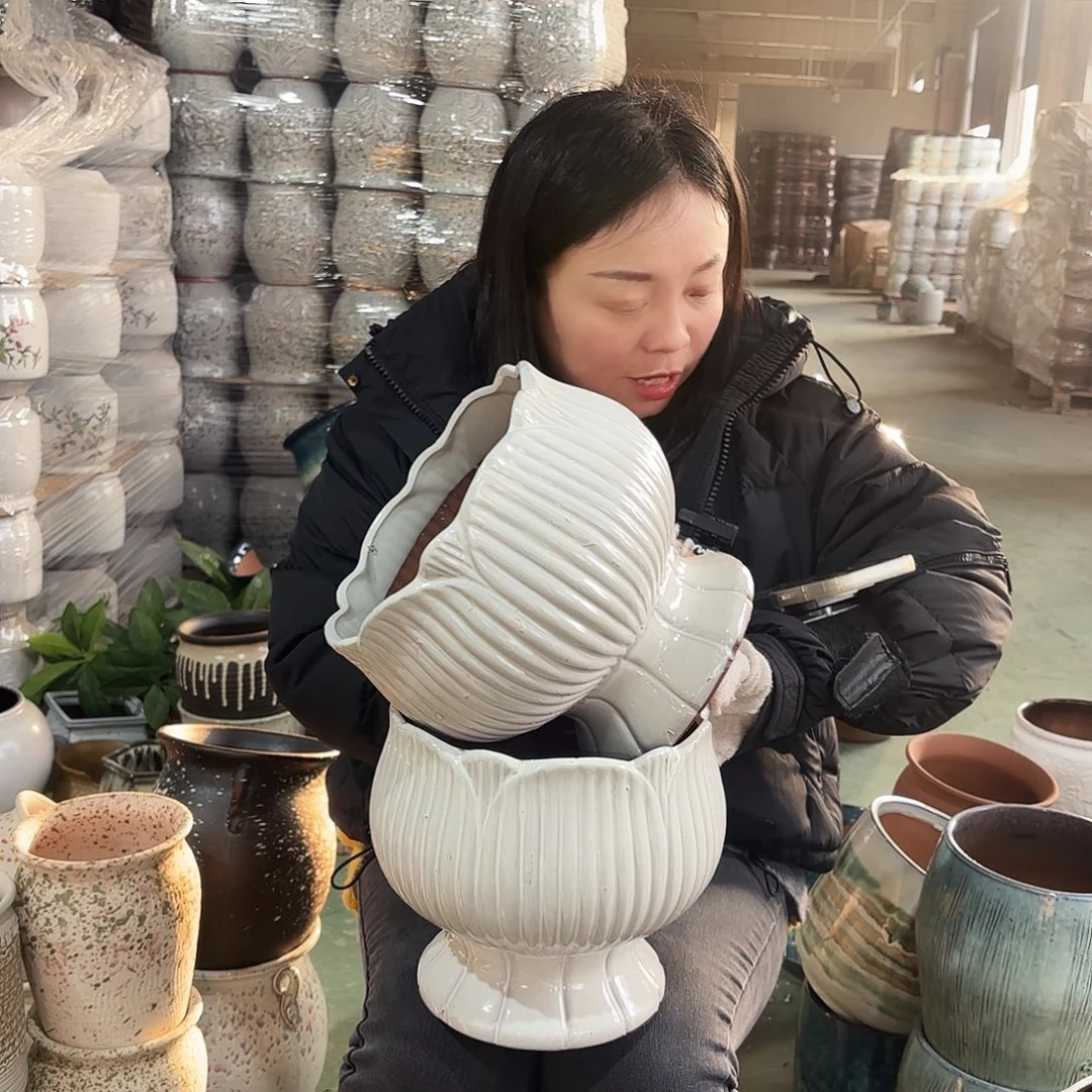 正品两个高20/20红陶