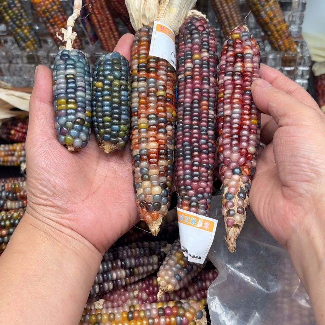 柏香籽/百香籽吊坠婧*?