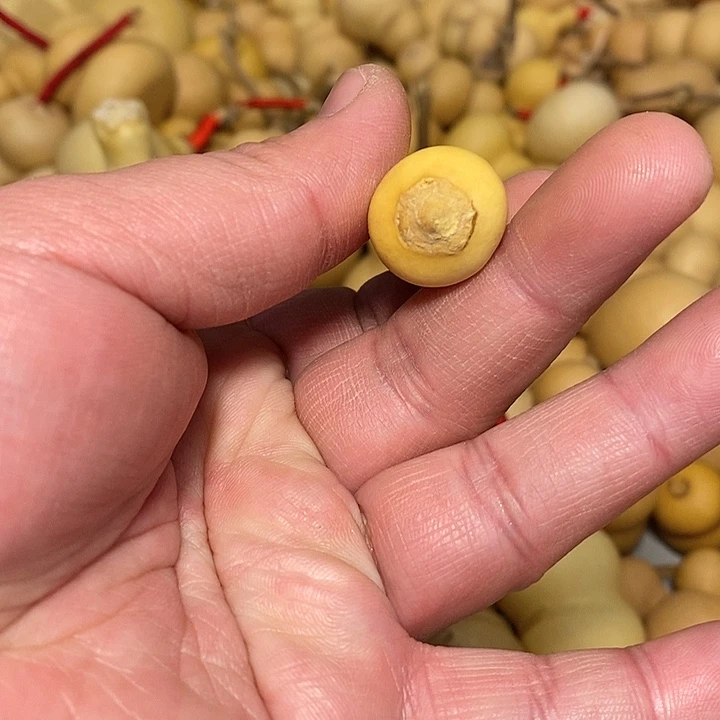 大**利精品葫芦手把葫芦56