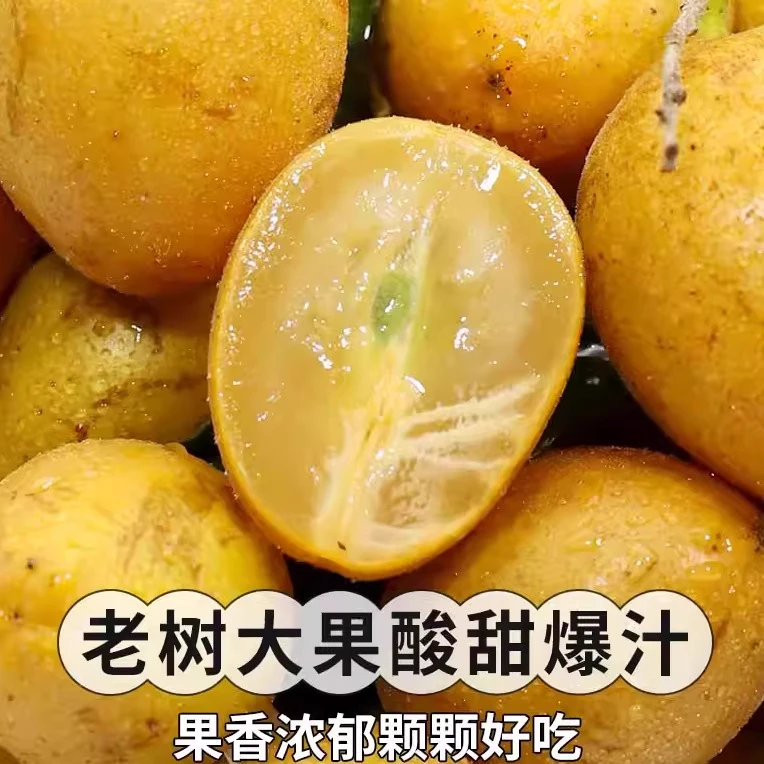【十斤装】广东鸡心黄皮果新鲜水果整箱孕妇当季水果酸甜味顺丰包邮