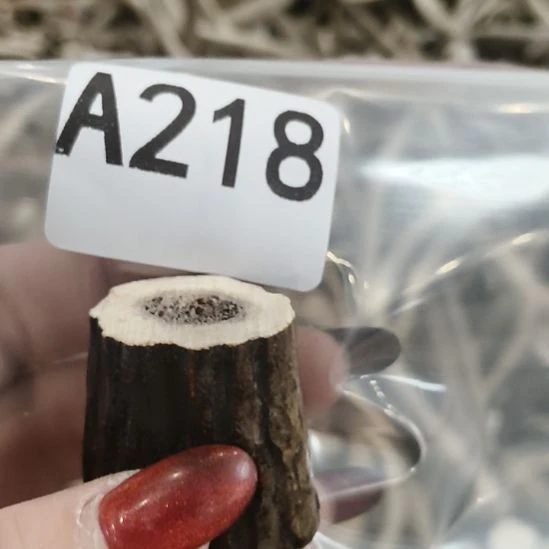 *****鹿角鹿角鹿角鹿角鹿角