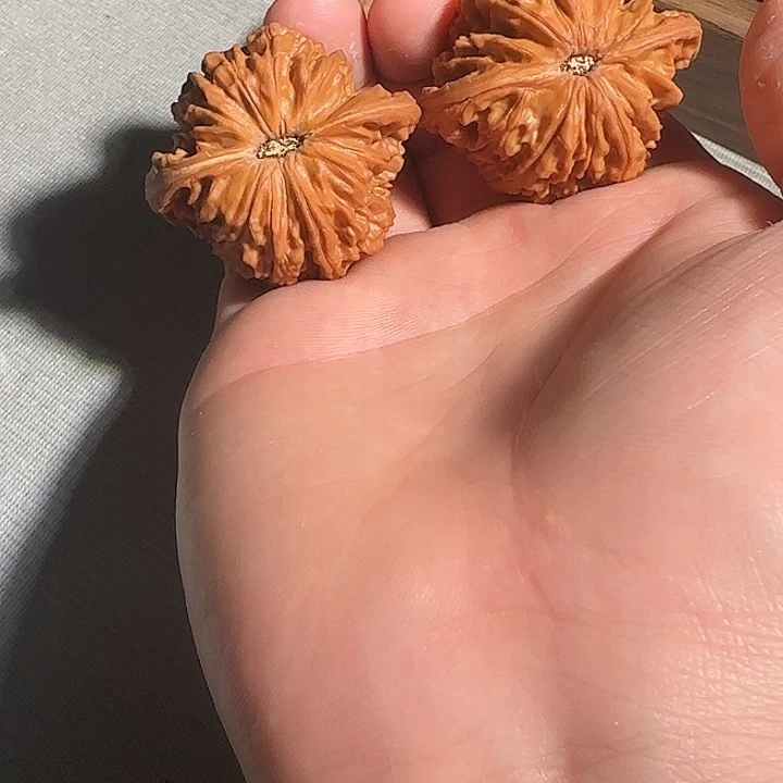 说爸爸上班噶啊嘎嘎嘎嘎嘎