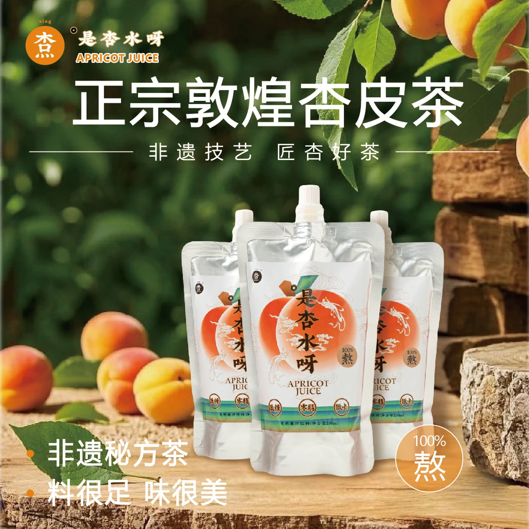 杏北北【6袋便捷装】甘肃敦煌特产是杏水呀杏皮茶酸甜解腻无负担