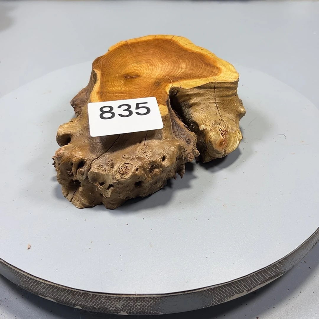 大果紫檀（缅甸花梨）小*