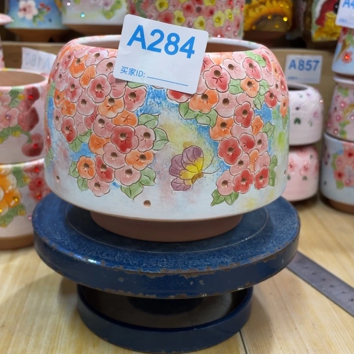 窝口多肉花盆小花系列