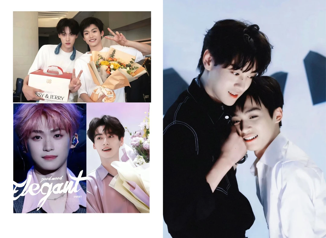 梓渝 田栩宁 雷朋8寸摆台一个