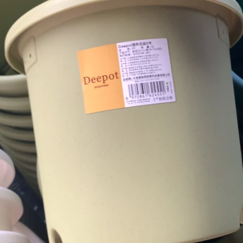 红陶20.3口果绿无托3个