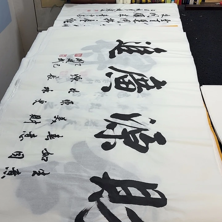 书法老师精品行书
