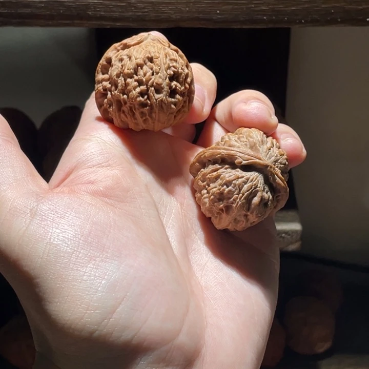 文玩核桃把件36全品白狮子