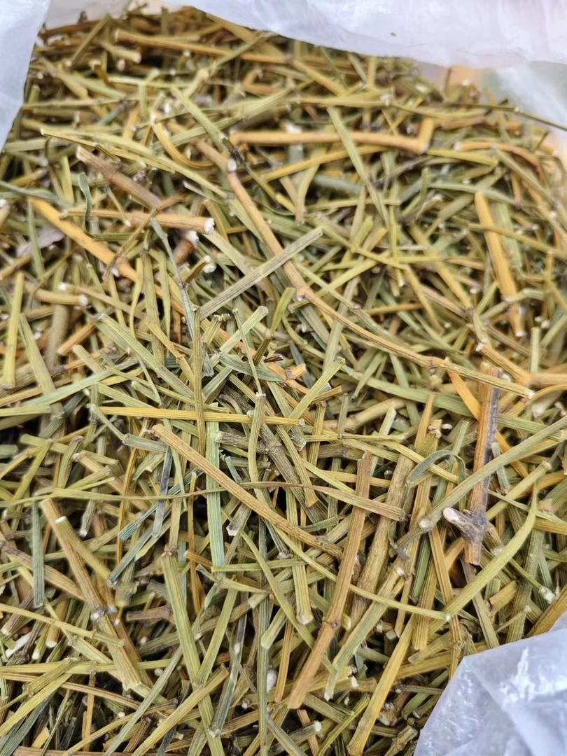 山地王----螃蟹脚茶