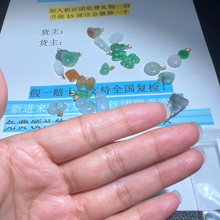 翡翠未镶嵌吊坠(赠链)