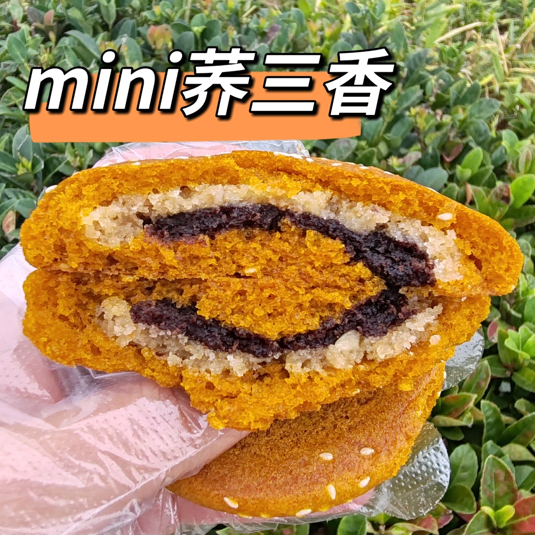 云南陆良特产mini荞三香小粑粑50克*10个