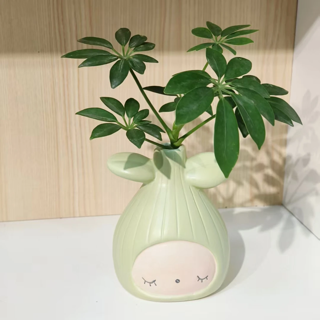 水培鸭脚木创意柠檬陶瓷盆七叶莲办公室室内绿植八方来财