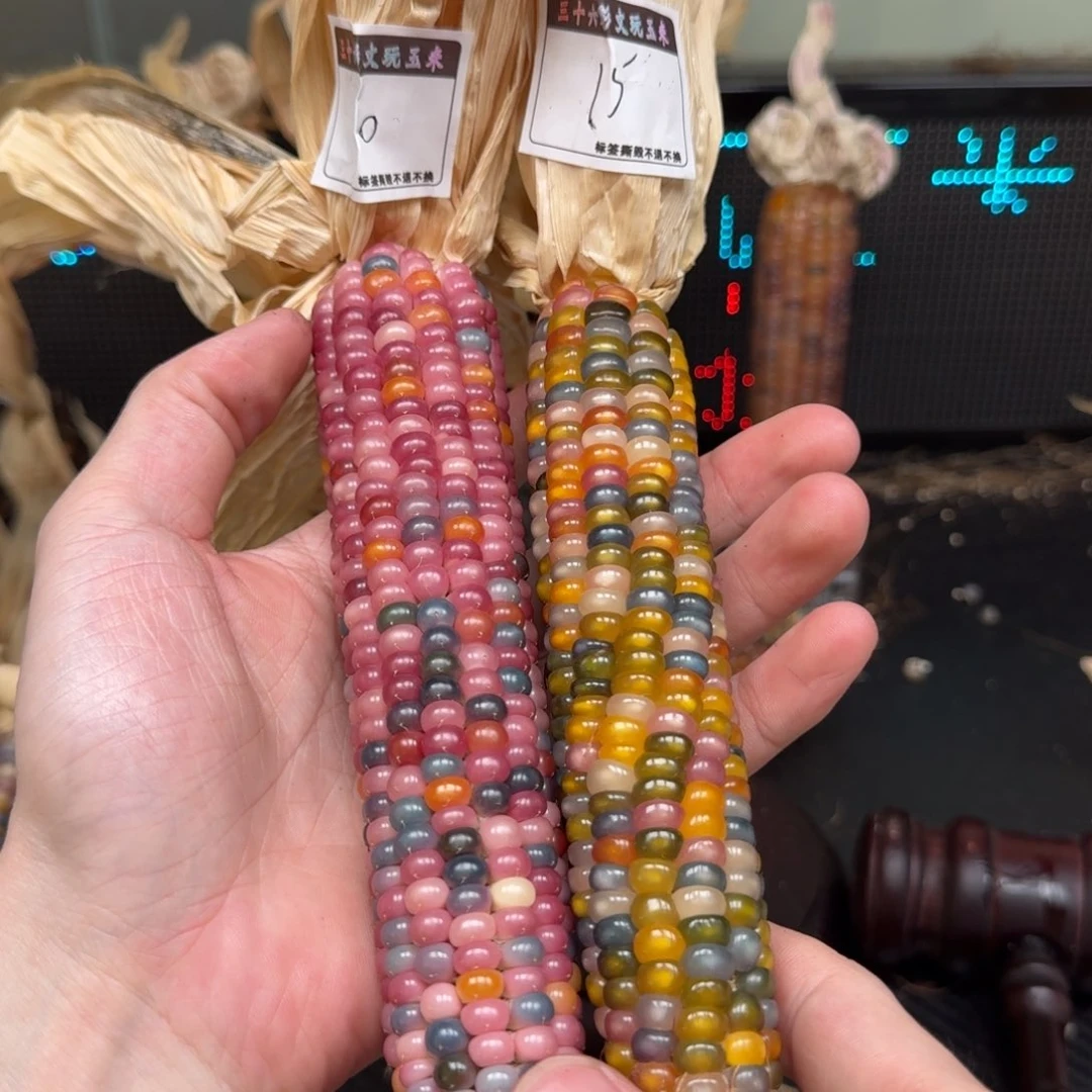 柏香籽/百香籽吊坠小***?