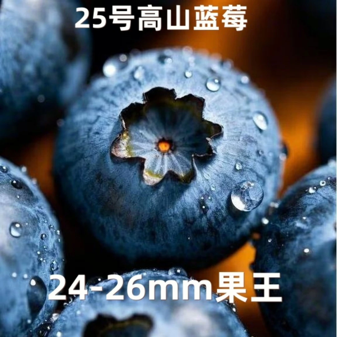 【达人专属25号高山果王】云南澄江花香蓝莓新鲜多汁脆甜新鲜蓝莓