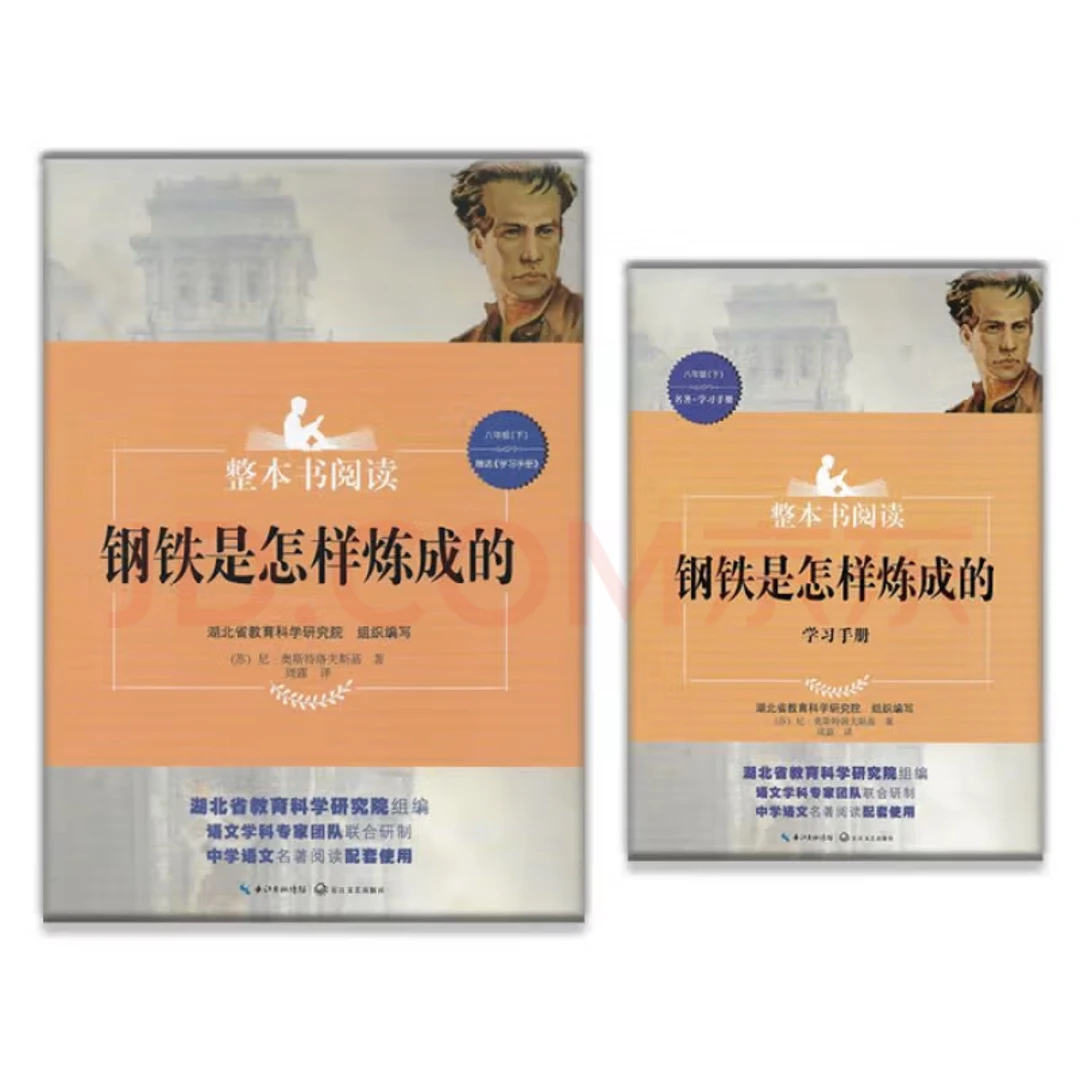 初中语文阅读 钢铁是怎样炼成的 整本书阅读