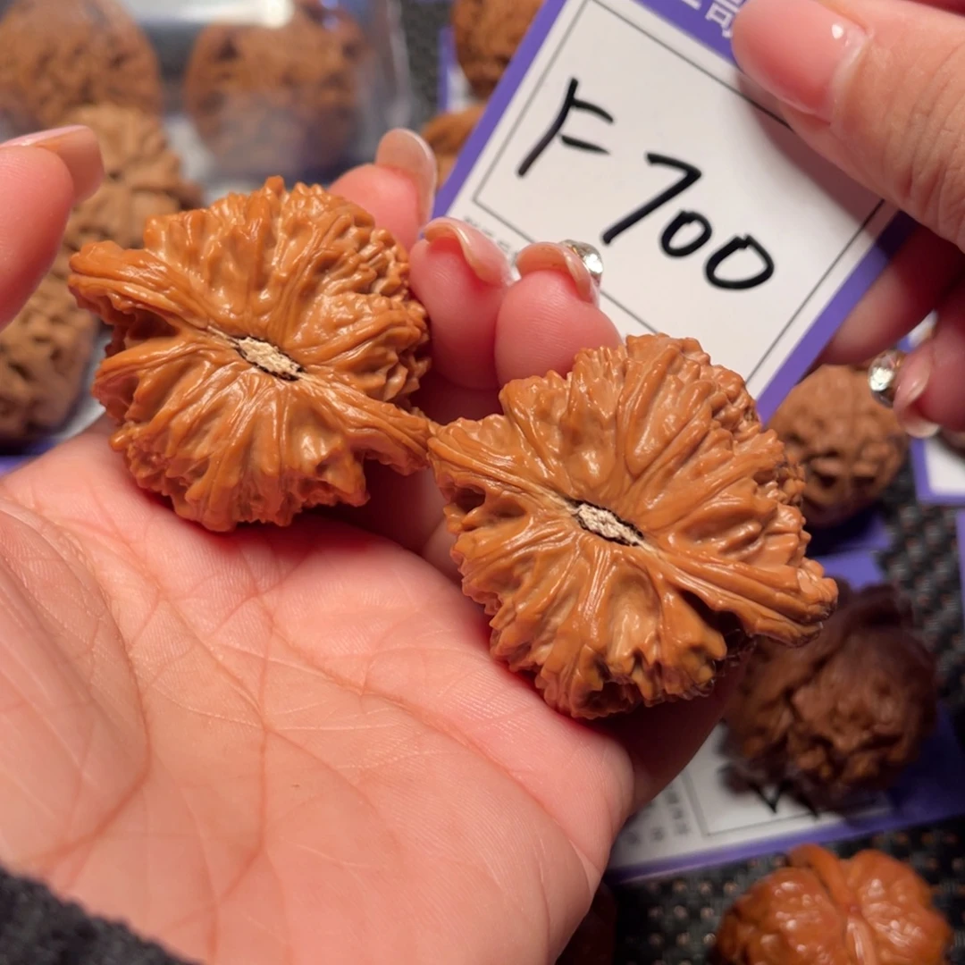 把件桃核400号白狮子44