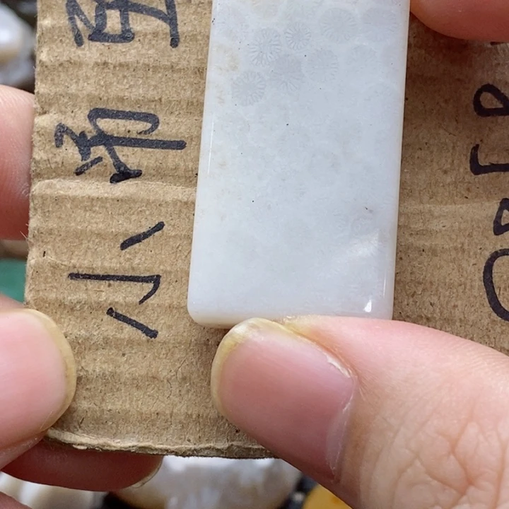 硅化珊瑚（珊瑚玉）颈饰未镶嵌宁*酱