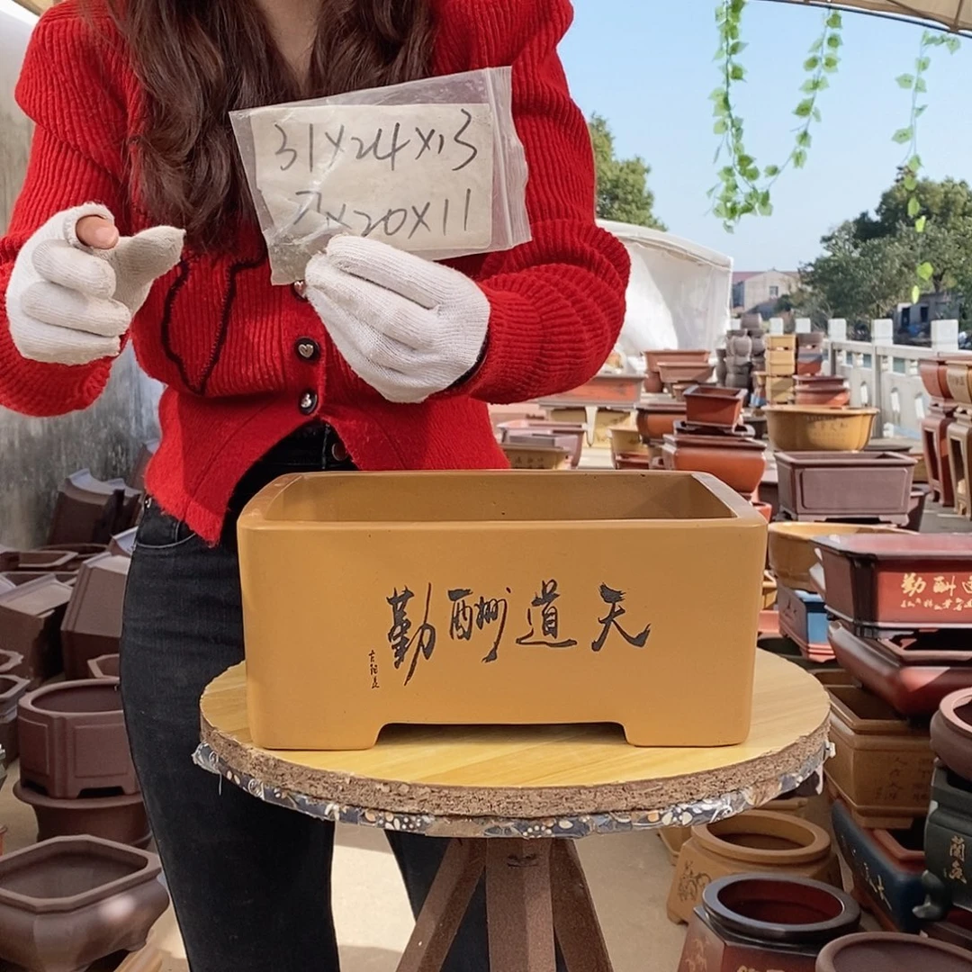 紫砂花盆紫砂花盆