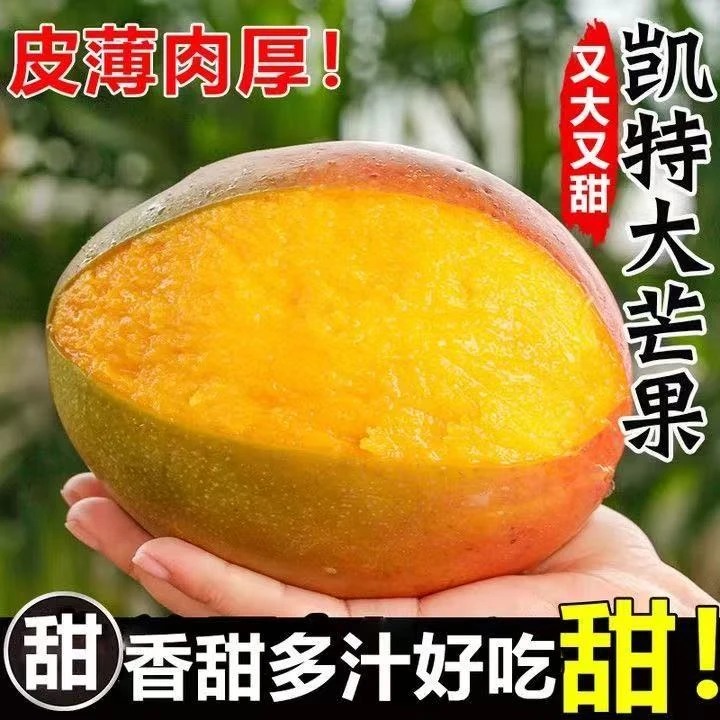 四川攀枝花青皮凯特芒果新鲜水果当季整箱特大凯特芒鲜果大芒果