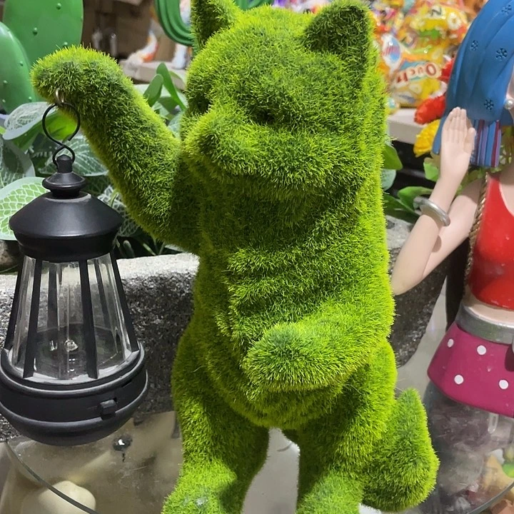 树脂样品样品样品猫