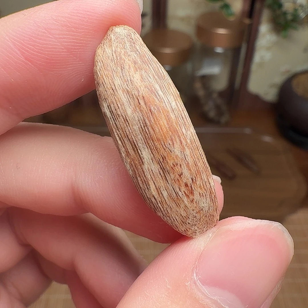 沉香海南黄油格瓜子