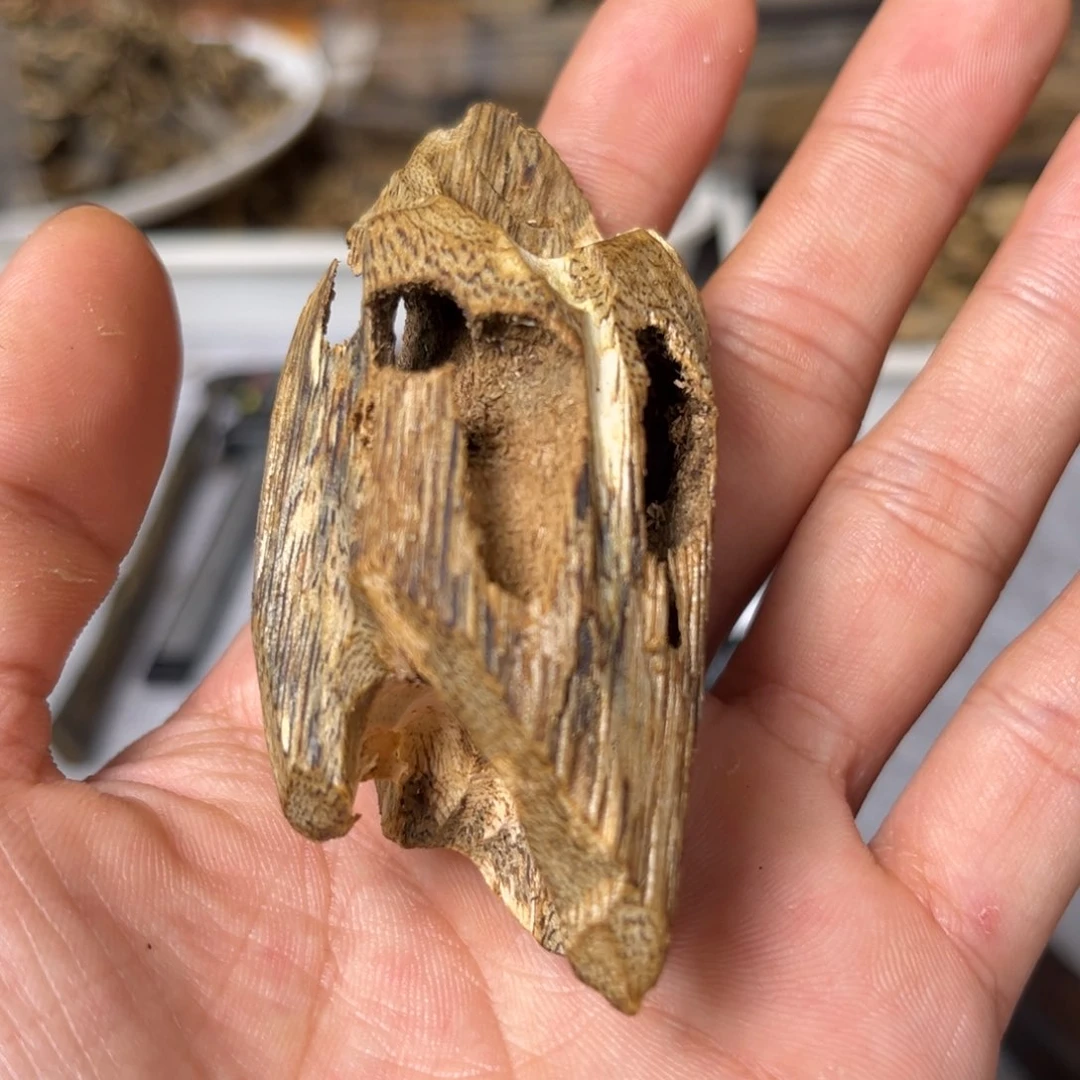 沉香碎屑沉香虫漏14克