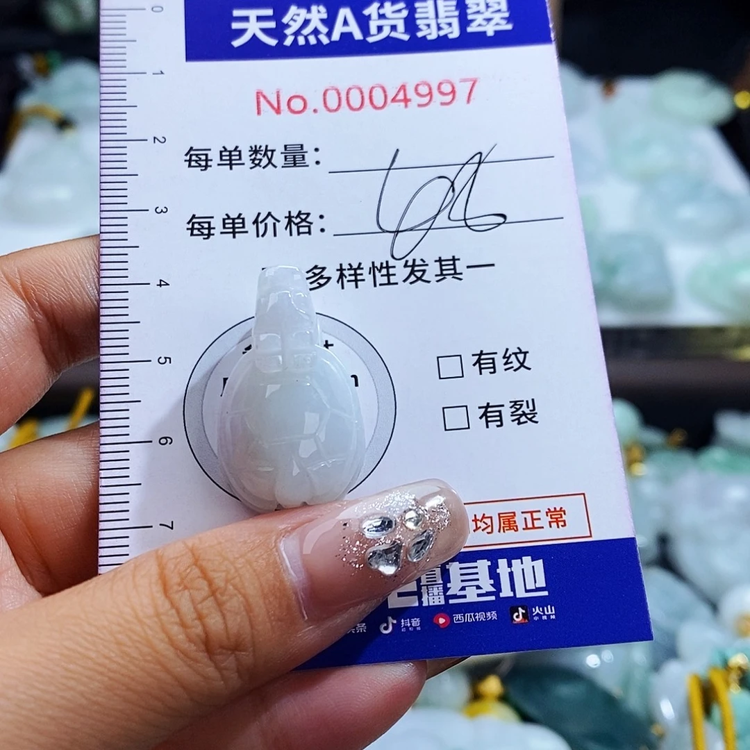 翡翠未镶嵌毛衣链4997