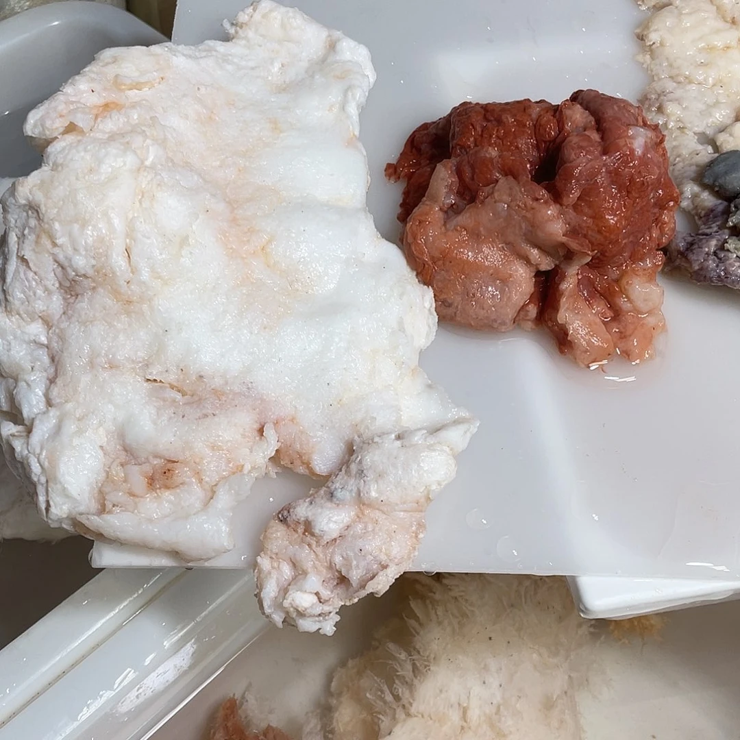 厚***物有机玻璃长白山太岁肉灵芝