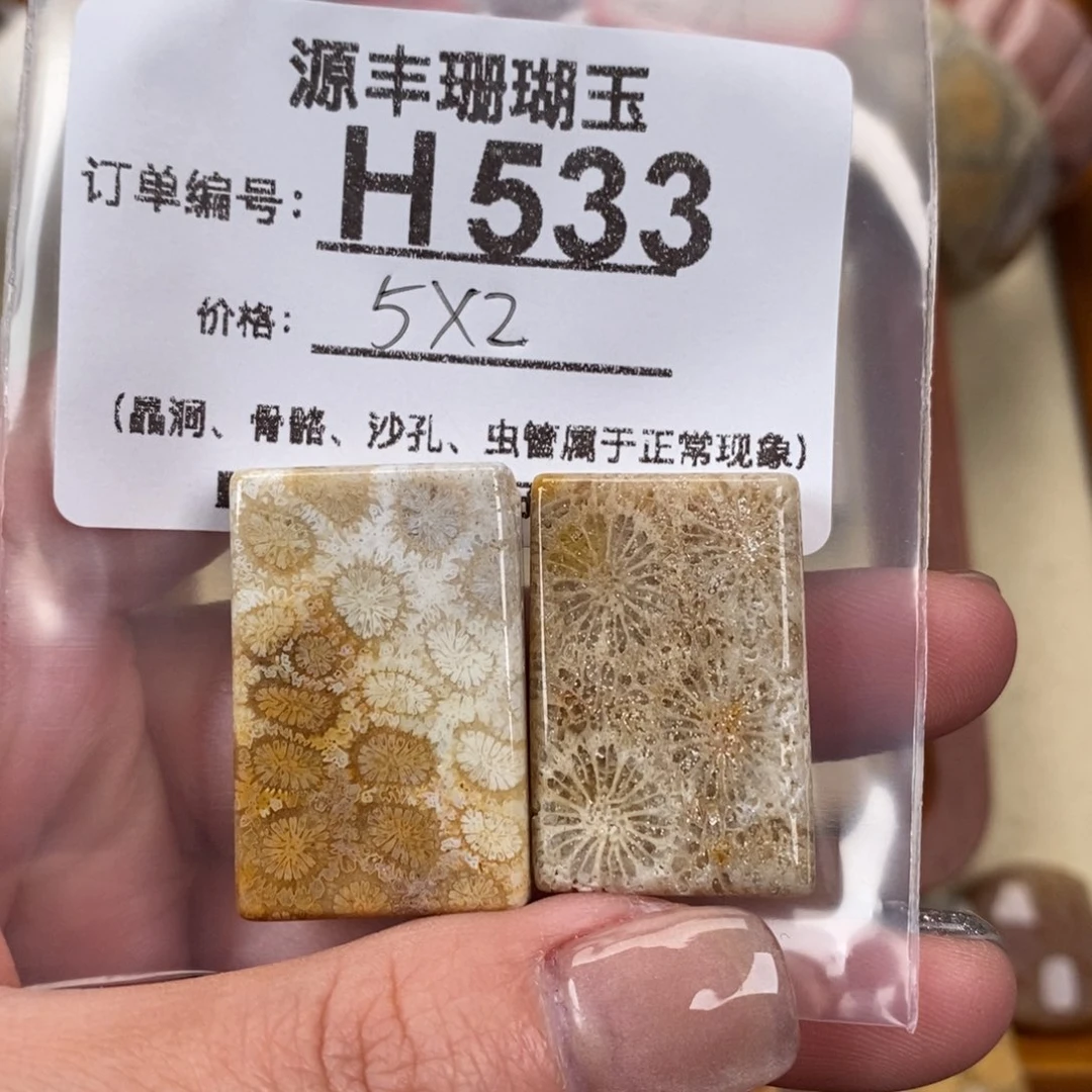 硅化玉颈饰未镶嵌这***子