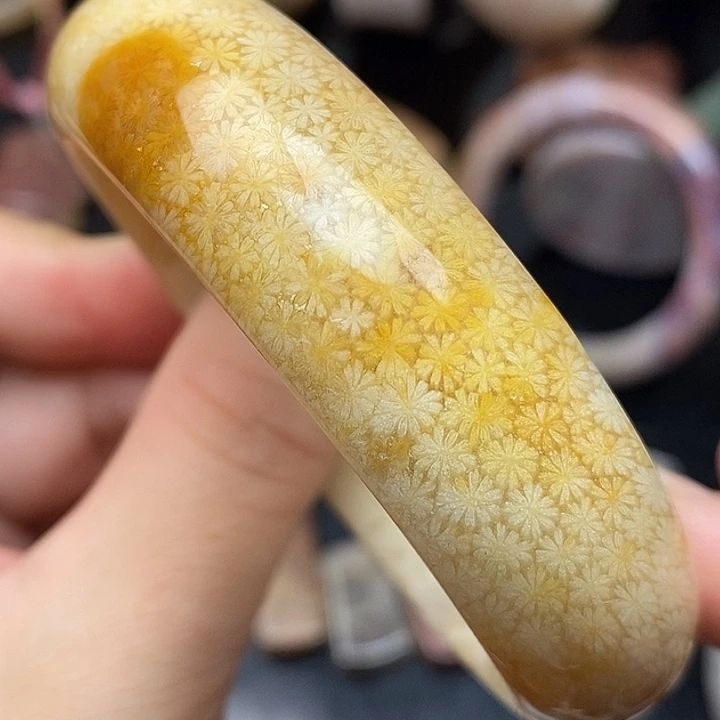 硅化玉未镶嵌颈饰60