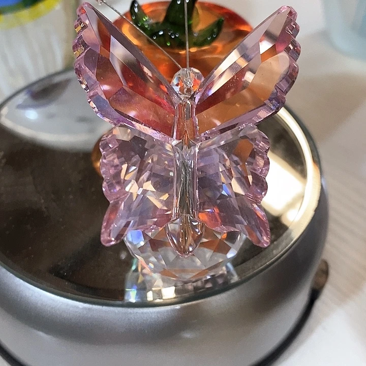 蝴蝶高5厘米宽5厘米