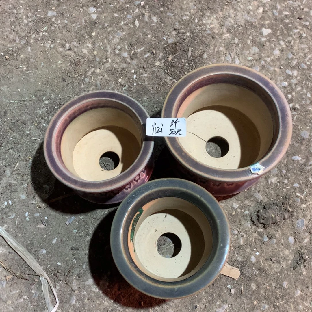 YIZI东云烧3个50元