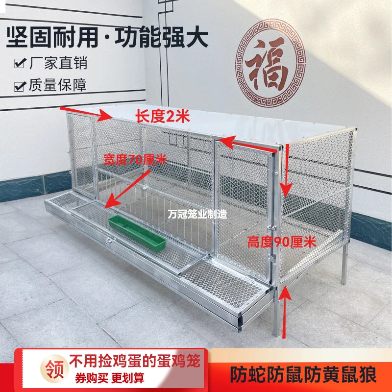 专用蛋鸡笼自动收蛋笼子防啄防黄鼠狼探头吃食户外家禽笼方便结实