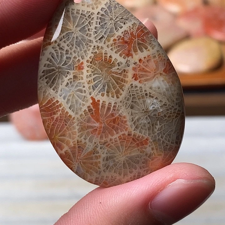 ****6硅化珊瑚未镶嵌颈饰