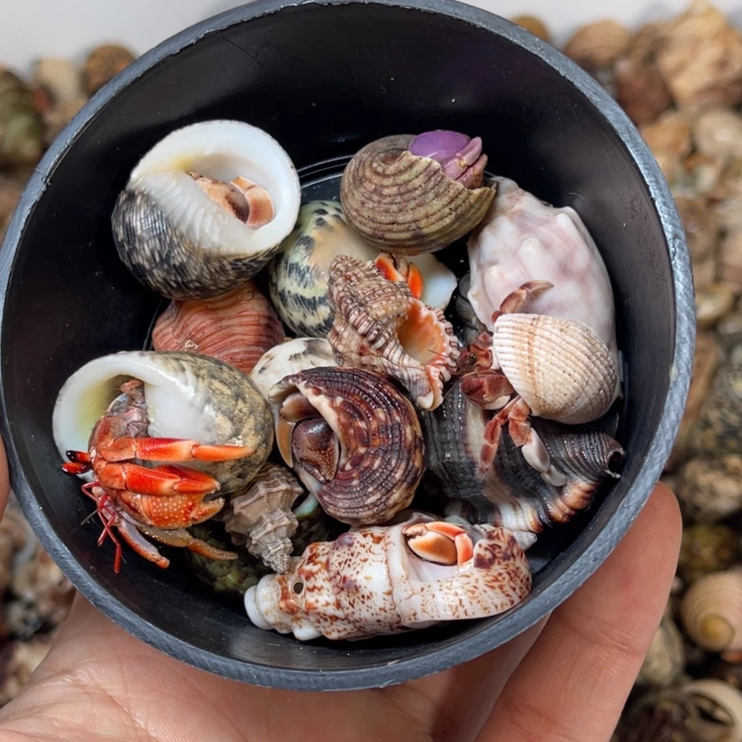 小哥也好厉害了哈哈不错哈太