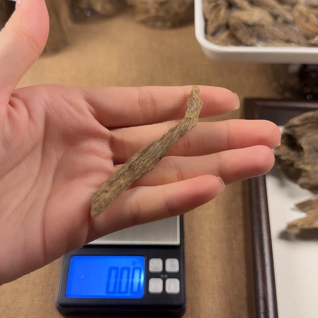 海南树根0.84克多样性发一