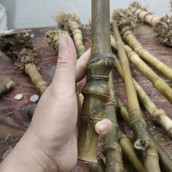 @***宿实心玉竹手把件金条料