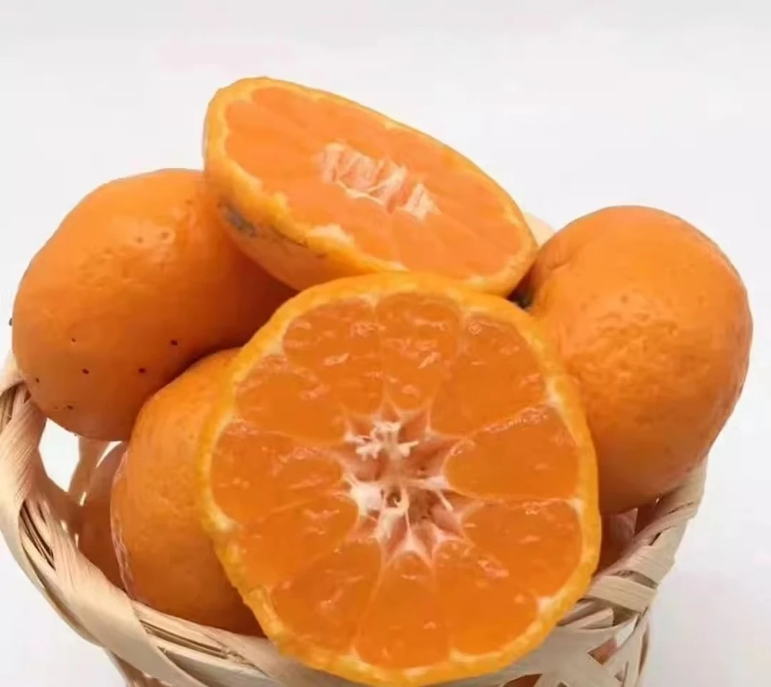 南丰蜜桔 皮薄多汁