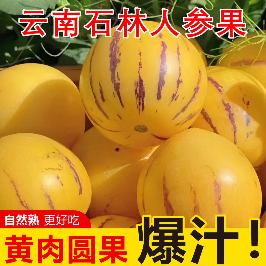 云南石林人参果现摘现发果圆果黄肉清甜多汁当季水果