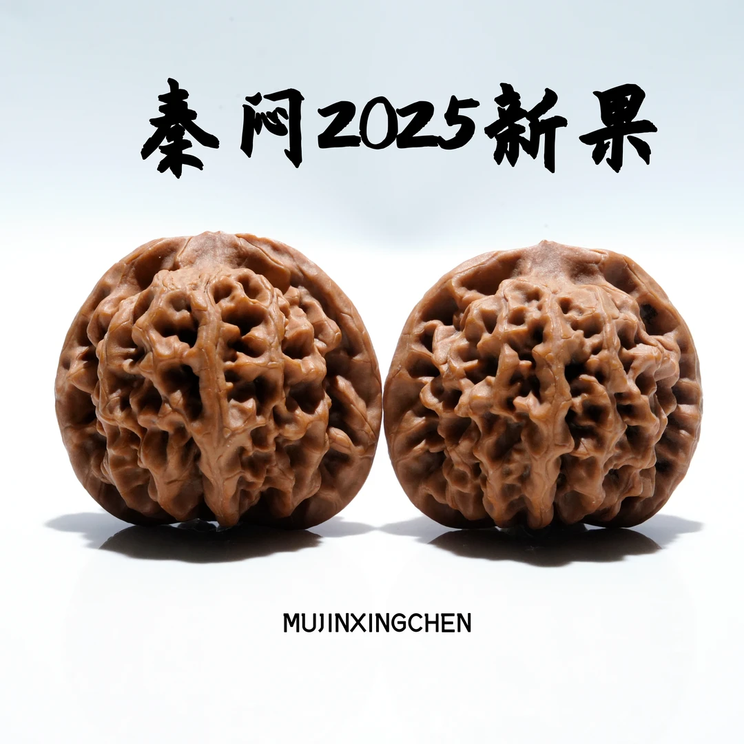 【木槿星辰】2025新果【秦闷】水尖 文玩核桃手把件