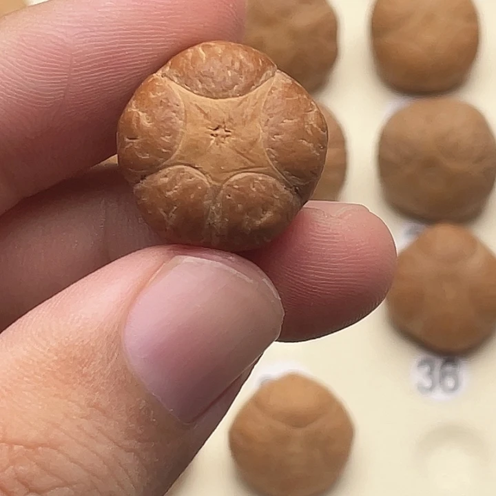 帅***吊坠凤眼菩提5星打孔不退换