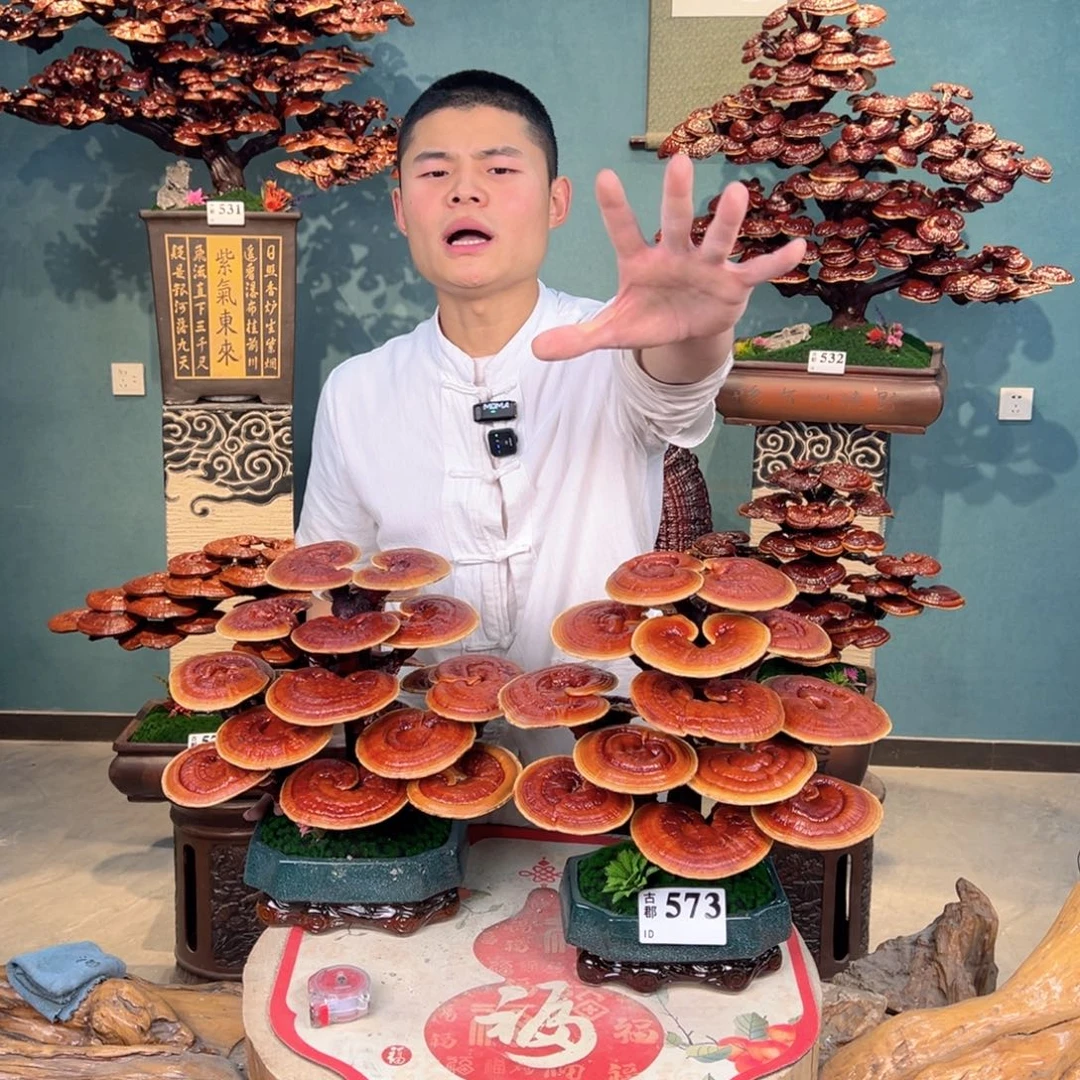 无花朵88888888888