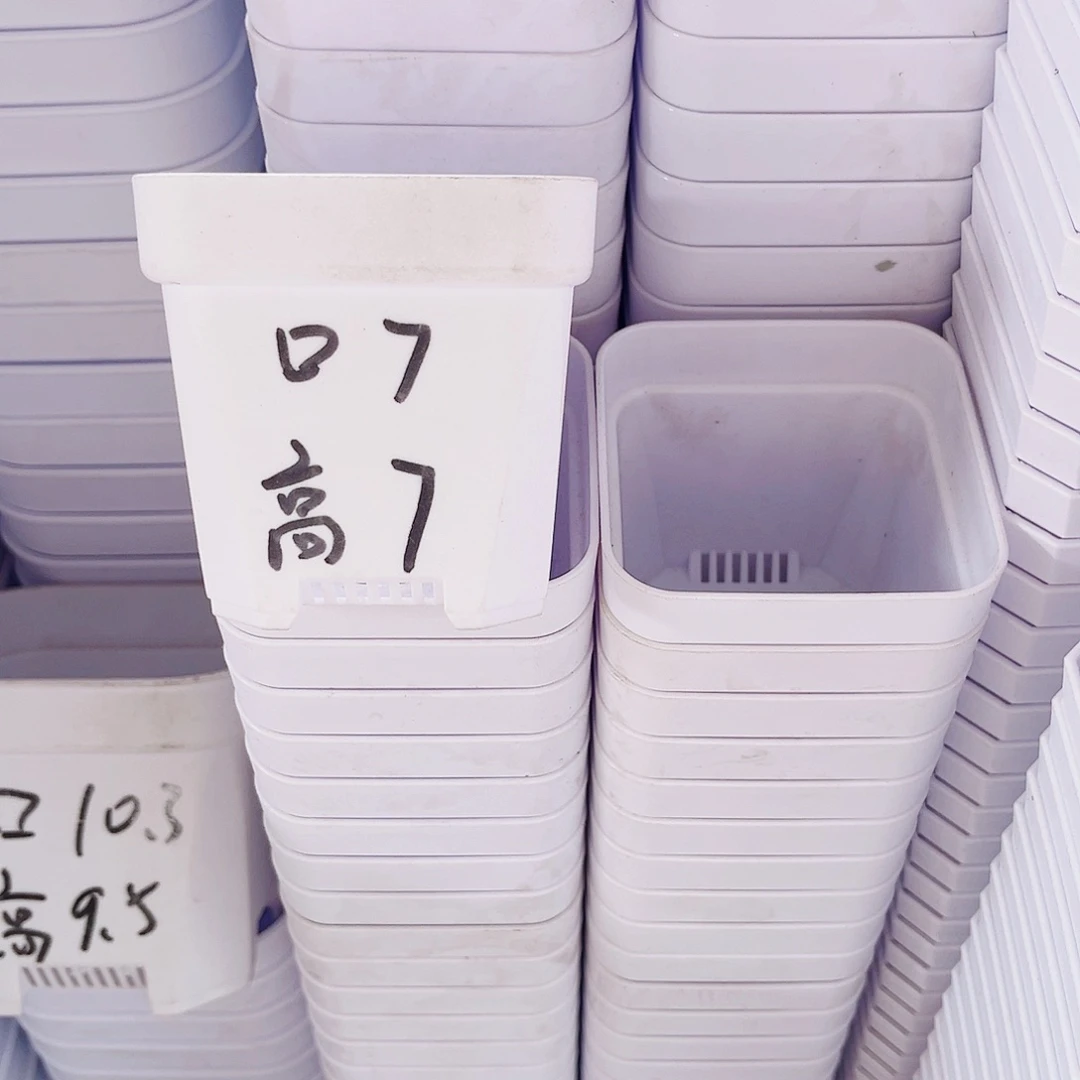塑料加厚矮胖7方白色盆50个无托