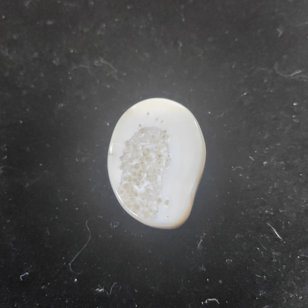 猛犸猛犸虬饼子WT528