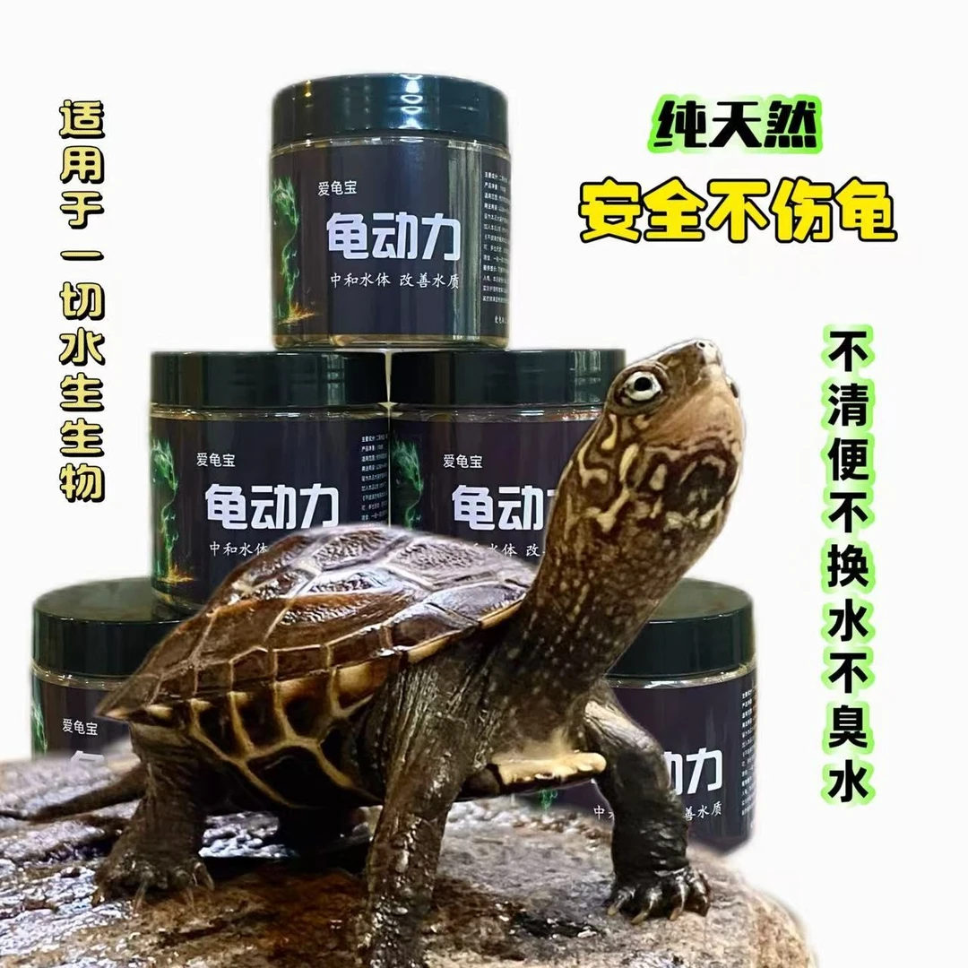 龟动力/专业解决养龟水质-还原湖泊生态/超3000用户的满意体验